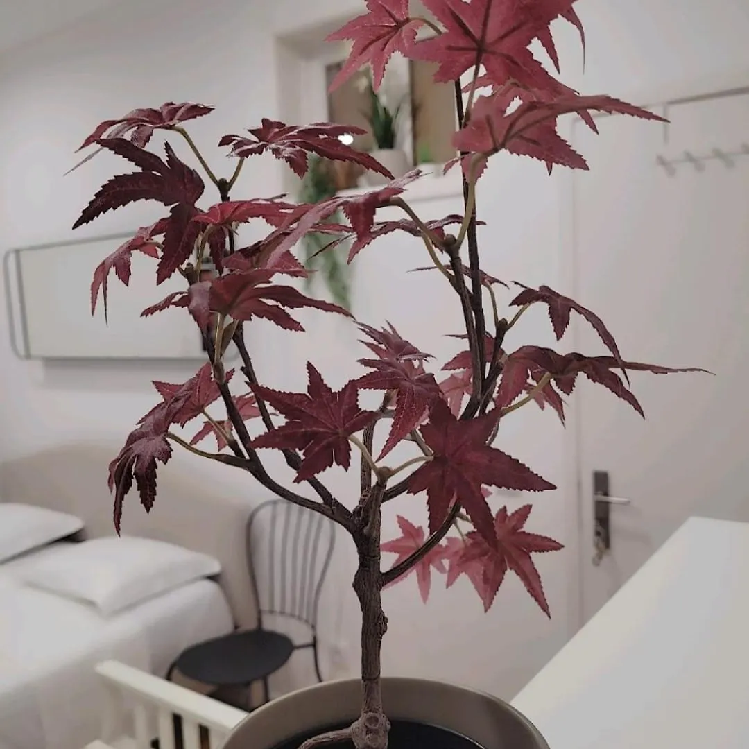 Varanda Privada Iroom Lisbon Homestay