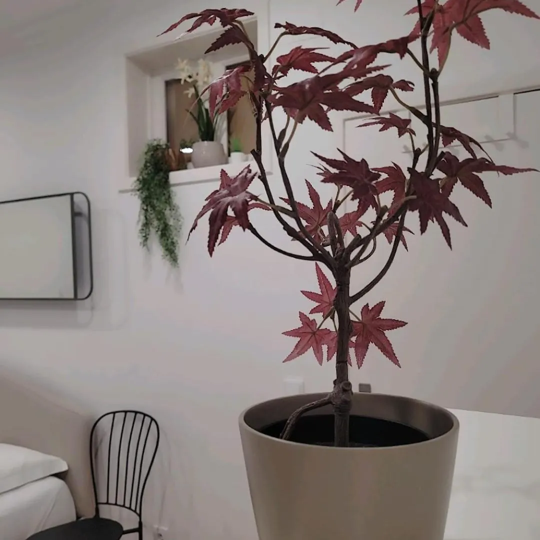 Pansiyon Varanda Privada Iroom Lisboa